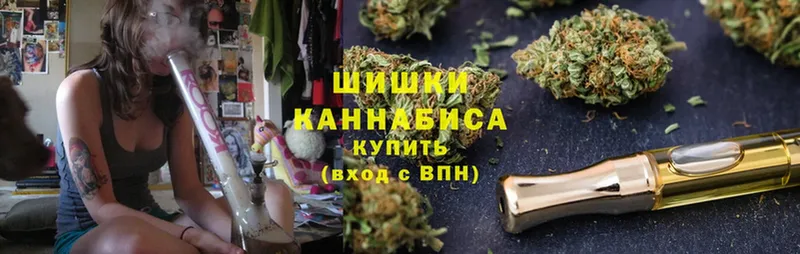 Где купить наркотики Вихоревка ссылка на мегу как зайти  Бошки Шишки  МЕФ  СК  ГАШ  Cocaine 