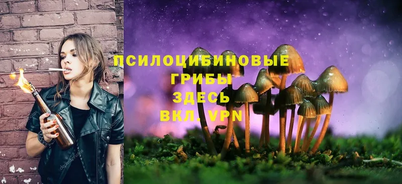 ОМГ ОМГ зеркало  Вихоревка  Псилоцибиновые грибы MAGIC MUSHROOMS 